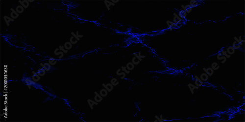 Illuminating abstract pattern with elegant blue veins in a captivating dark background.