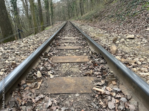 Urban surface and infrastructure texture. Close-up view of tram or train track, rails in the forest, perspective.
