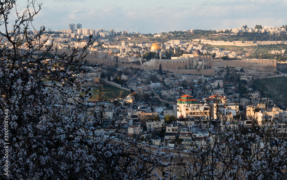 Obraz premium Jerusalem, Israel - Old City walls and Dome of the Rock in spring