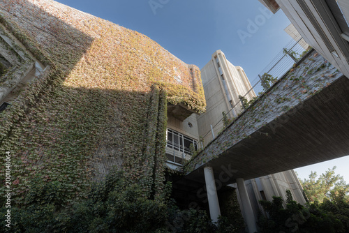 Beer Sheva, Israel Ben-Gurion University building facade covered with green ivy