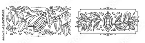Cacao botanical engraving branch border with cocoa pods, beans, leaves, flowers, and ornate rectangular label frame for chocolate packaging