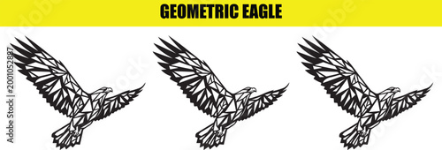 Geometric eagle abstract vector illustration graphic design element, stylized bird of prey freedom symbol, modern art.
