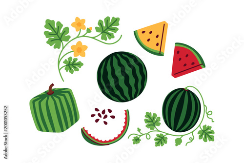 Seven unique watermelon elements featuring whole fruit with vines, square varieties, and rare yellow slices. Ideal for educational materials and summer branding.
