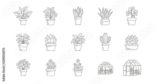 Botanical collection a variety of potted plants and greenhouse elements in line art style