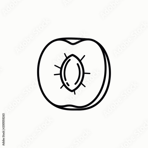 Simple cross-section apple with core illustration isolated on white background