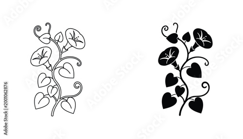 Morning glory flower vine vector icon set isolated on white background featuring floral botanical illustration in both delicate line art and solid black silhouette for nature design and decor
