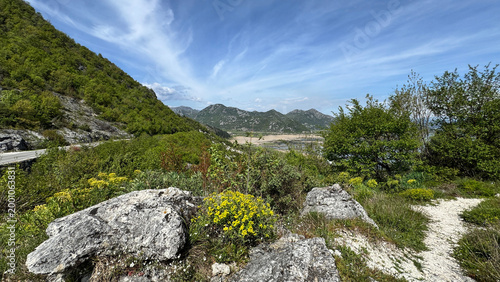 Skadar Lake panorama from mountain ridge in Montenegro with spring wildflowers
