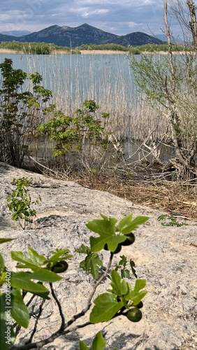 Fort Lesendro ruins overlooking Shkodra Lake with spring foliage and distant hills