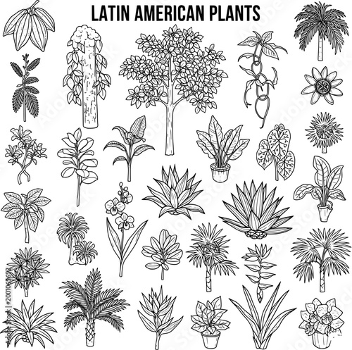 Detailed Line Art Collection of Latin American Plants: Tropical Flora, Exotic Flowers, Succulents, Palms, and Lush Foliage Illustrations