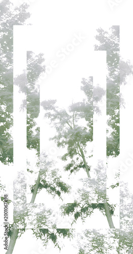 winter forest scene framed by white border with snow covered trees and foggy atmosphere