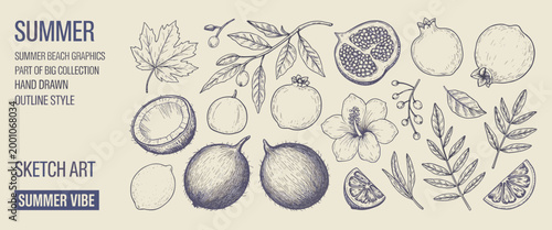 Hand-drawn of summer fruits, leaves, and hibiscus flower on a beige background, outline pomegranate