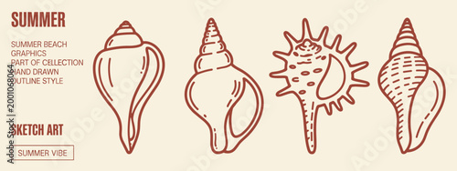 Hand-drawn outline of four different seashells on a light beige background, with text conch marine ocean