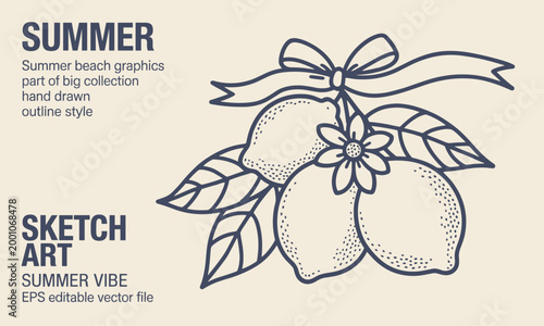 Hand-drawn outline of lemons with leaves, flower, and ribbon bow on a light beige background, fruit citrus