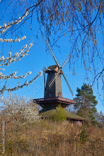 A beautiful historic Ukrainian windmill.