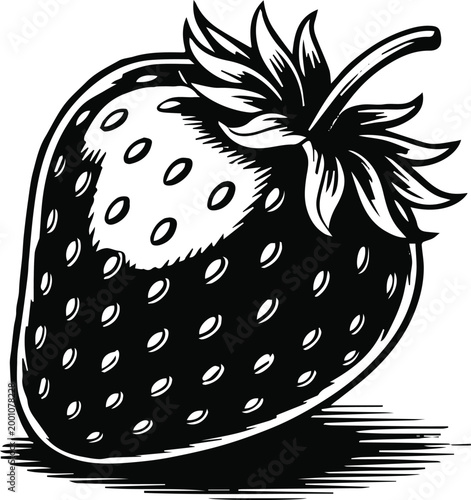 strawberry botanical engraving vector line art for packaging
