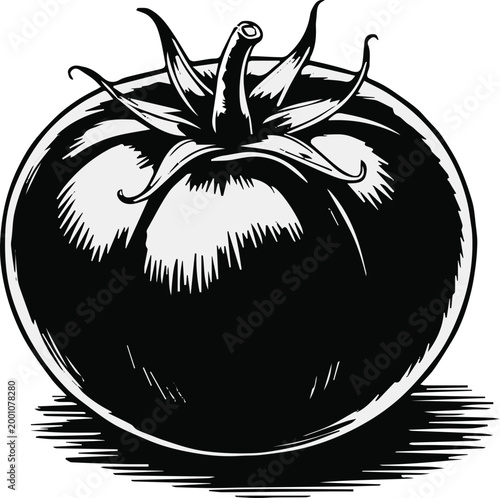 tomato woodcut style vector black and white print
