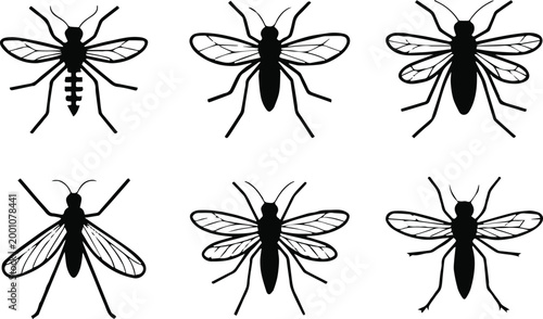 insect vector silhouettes set insect anatomy and wing types