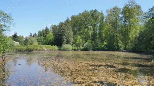 Fishtrap Creek Park during a spring season in Abbotsford, British Columbia, Canada