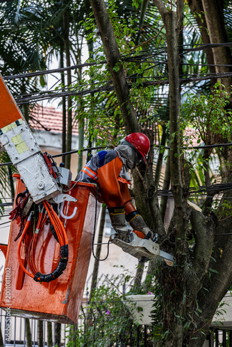 Worker stand with a chainsaw in a crane basket and trim dangerous trees