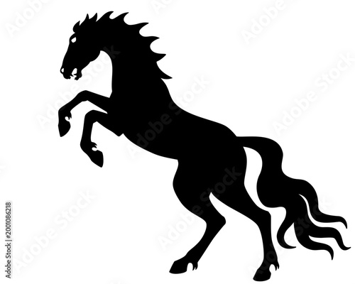 Bild auf Leinwand A horse, an angry Akhal-Teke rearing up – vector silhouette for a logo, pictogram, or stencil