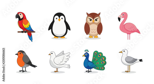 Cartoon bird collection illustration