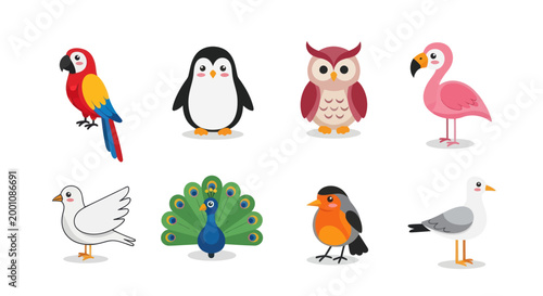 Cartoon birds collection on white background