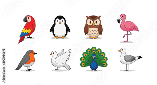Cartoon birds collection on white background