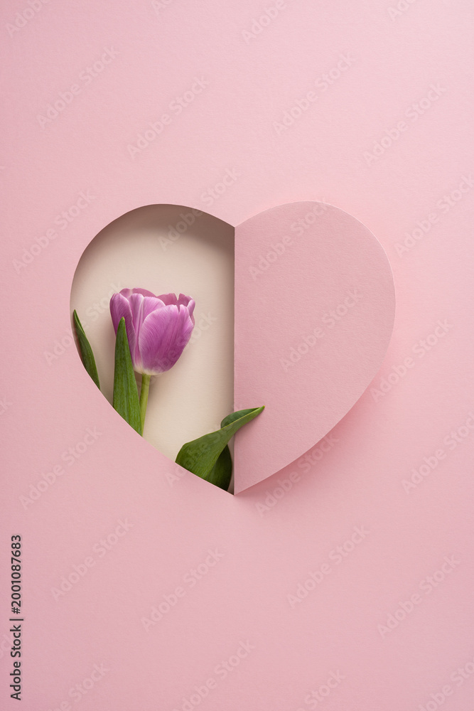 Fototapeta premium Pink heart vertical cutout with purple tulip for happy mother's day greeting and romantic spring message