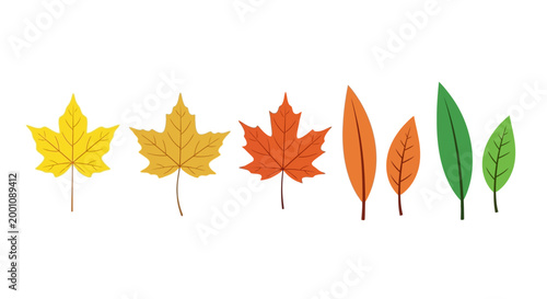 Collection of stylized autumn leaves in various shapes and colors representing the changing seasons and natural beauty
