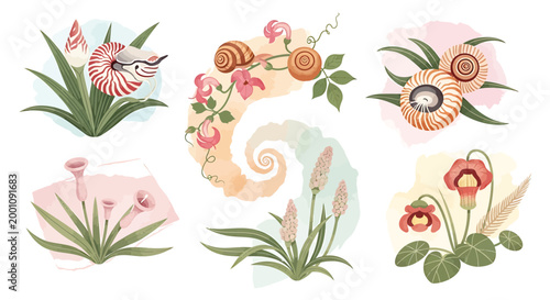Floral illustrations, watercolor flowers, botanical set, 6 elements