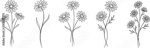 chamomile flower sketches set, hand drawn botanical daisy floral elements, black line art wildflower illustrations on transparent background
