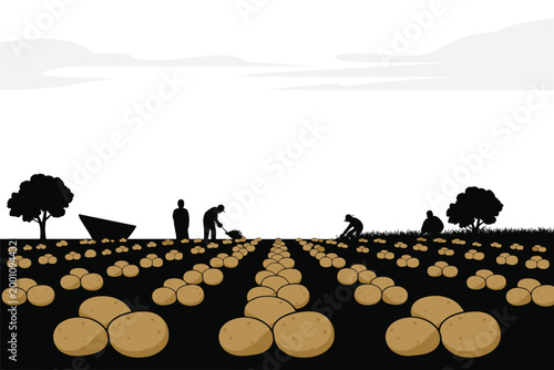 Large field of harvested potatoes with silhouettes of workers and agricultural tools, rural concept