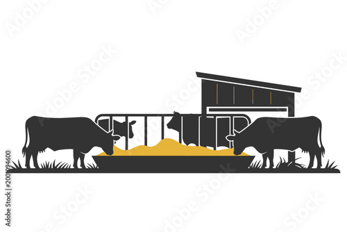 Cows silhouettes eating hay at a feeding station on a dairy farm, livestock concept