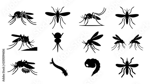 Mosquito Silhouette Icons – Insect, Larvae and Pest Control Vector Set
