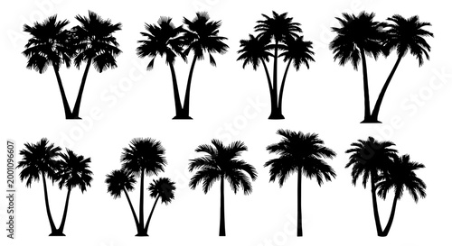 Collection of black silhouette palm trees