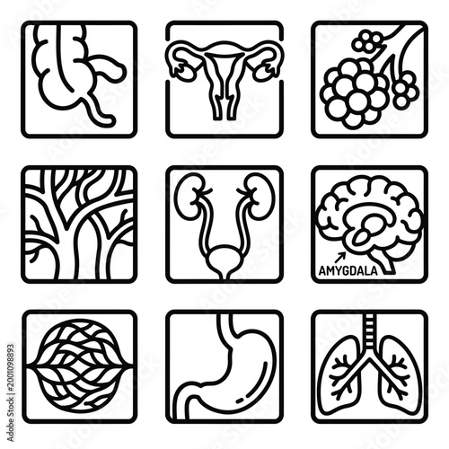 Collection of black and white line art icons depicting various human organs and body parts for medical and anatomical reference