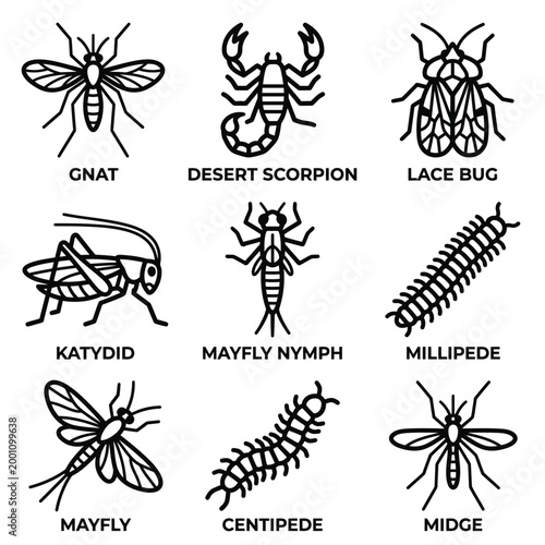 Insect illustrations showcase various bugs like a gnat, desert scorpion, lace bug, katydid, mayfly nymph, millipede, mayfly, centipede, and midge.