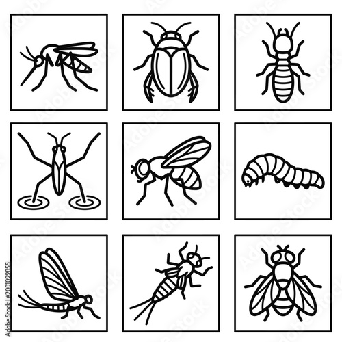 Insect illustrations showcase various bugs and insects in different poses and stages.