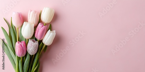Tulips on pink background