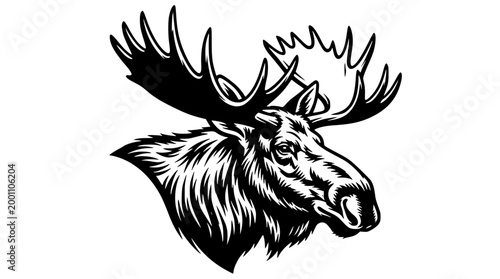 Detailed vector illustration of a majestic moose head profile