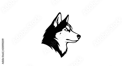 Black and white husky dog head 1.