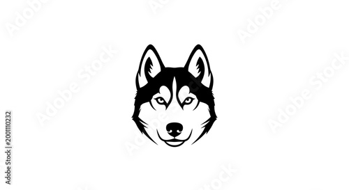 Black and white husky dog head 2.