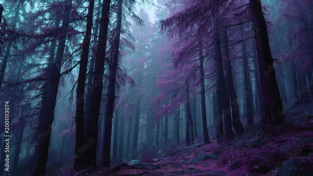 Fototapeta premium Mystical Purple Forest at Dawn