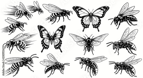 bee butterfly insect nature wildlife