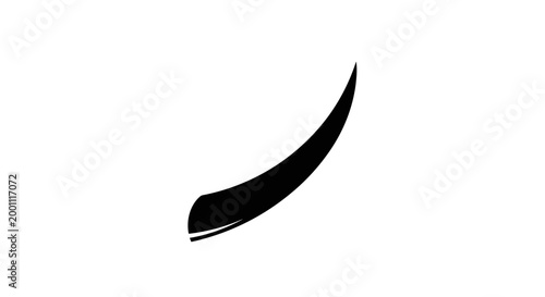 Closeup of single black eyelash.