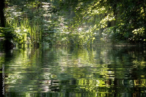 Sunlit forest glade with shimmering water and lush green foliage