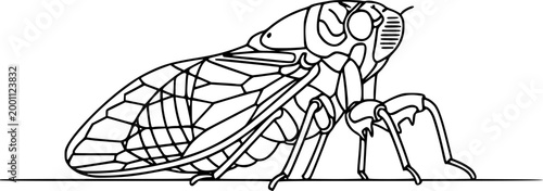 Black and white line drawing of a cicada insect standing on a surface in a minimalist flat vector style
