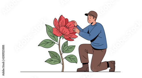 Farmer kneeling and inspecting large red flower bloom. Gardener caring for plant