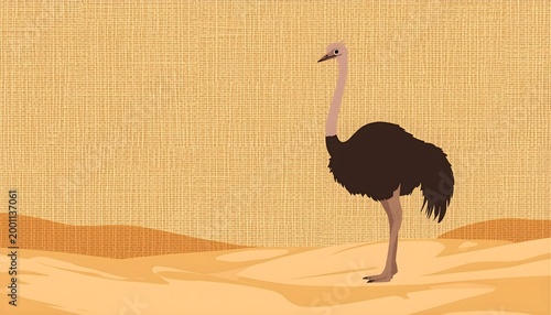 ostrich in the sand