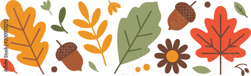 Autumn leaves and acorns vector illustration set isolated on transparent background, flat fall collection.